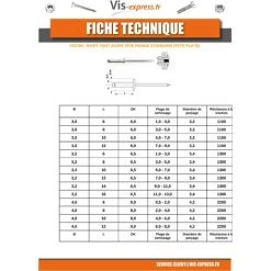 VIS EXPRESS Rivet Tout Acier Brut ZING 3X8 Epaisseur De Serrage 3A5 Tete Plate | Conditionnement: 100 Pieces -Pince et tenaille Soldes 30085829 3